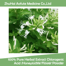 100% Pure Herbal Extract Chlorogenic Acid /Honeysuckle Flower Powder